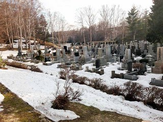 20140416-5.jpg