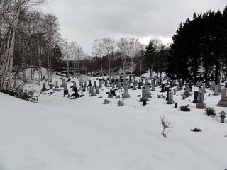 DSC03113.JPG