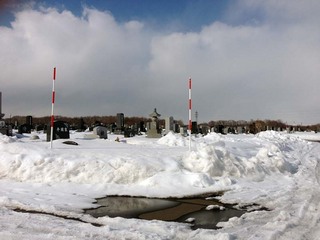 IMG_0021.JPG
